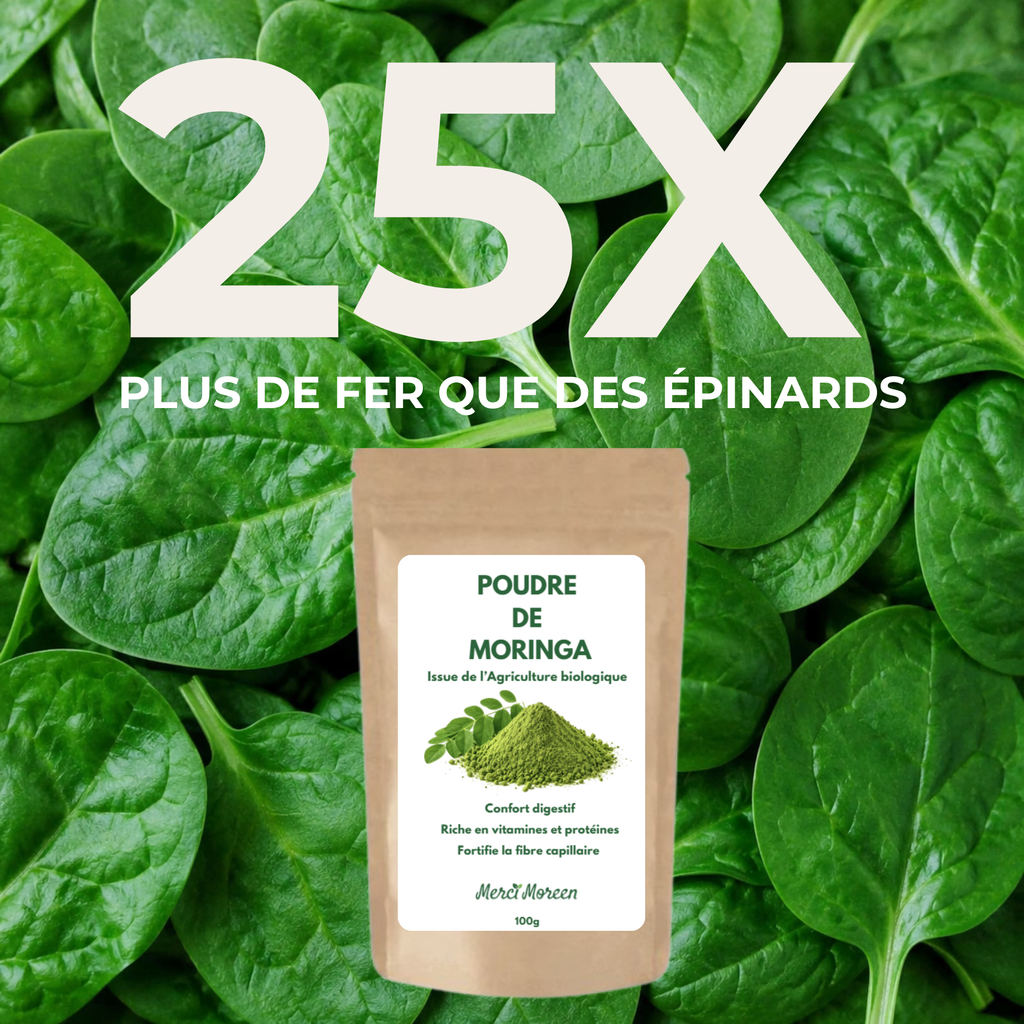 Poudre de Moringa Oleifera